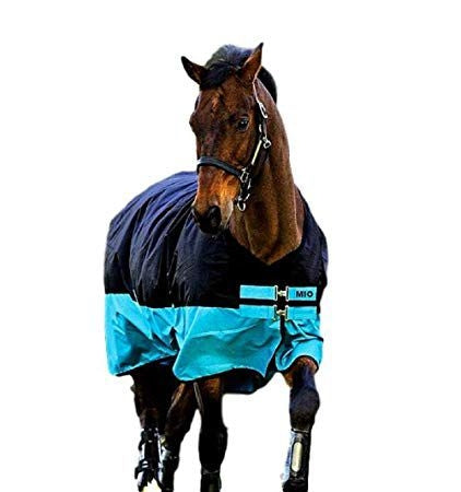 Mio Turnout Sheet Lite