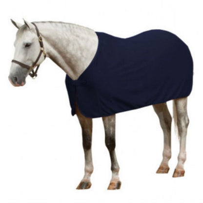 Centaur Turbo-Dry Cooler