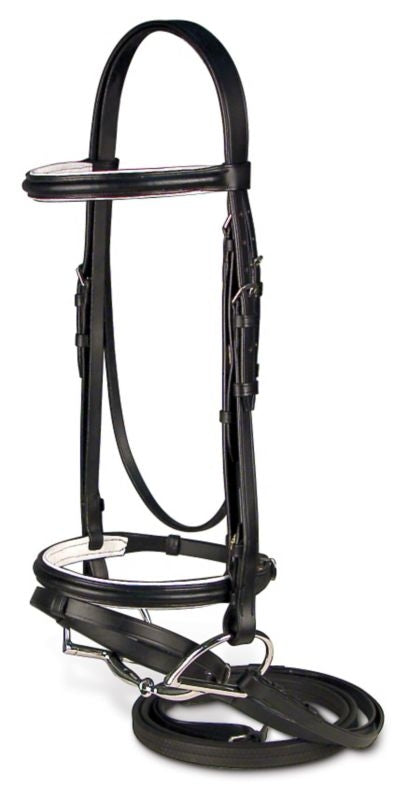 Passport Raised and Padded Bridle with Flash