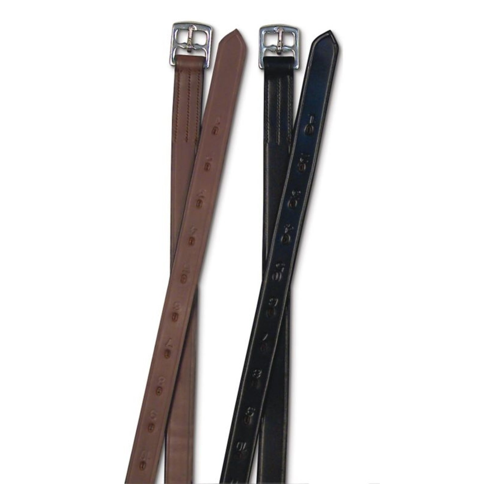 Passport 1 inch Stirrup Leathers