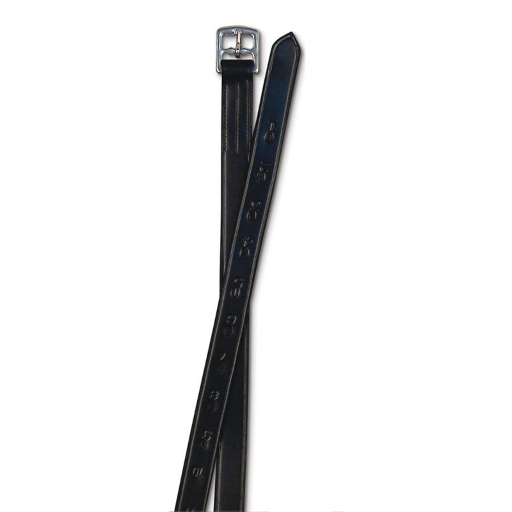 Passport 1 inch Stirrup Leathers