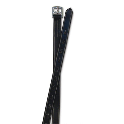 Passport 1 inch Stirrup Leathers