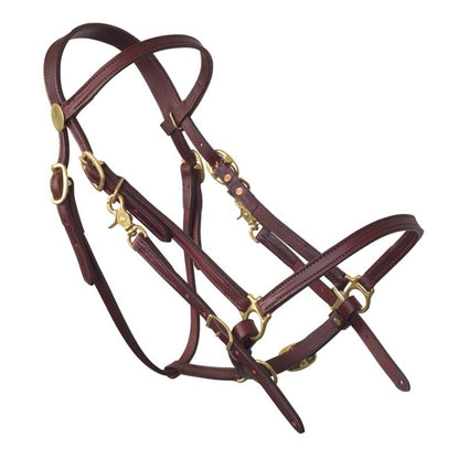 Tucker Halter Bridle Lite with Brass