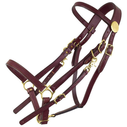 Tucker Standard Halter Bridle with Brass