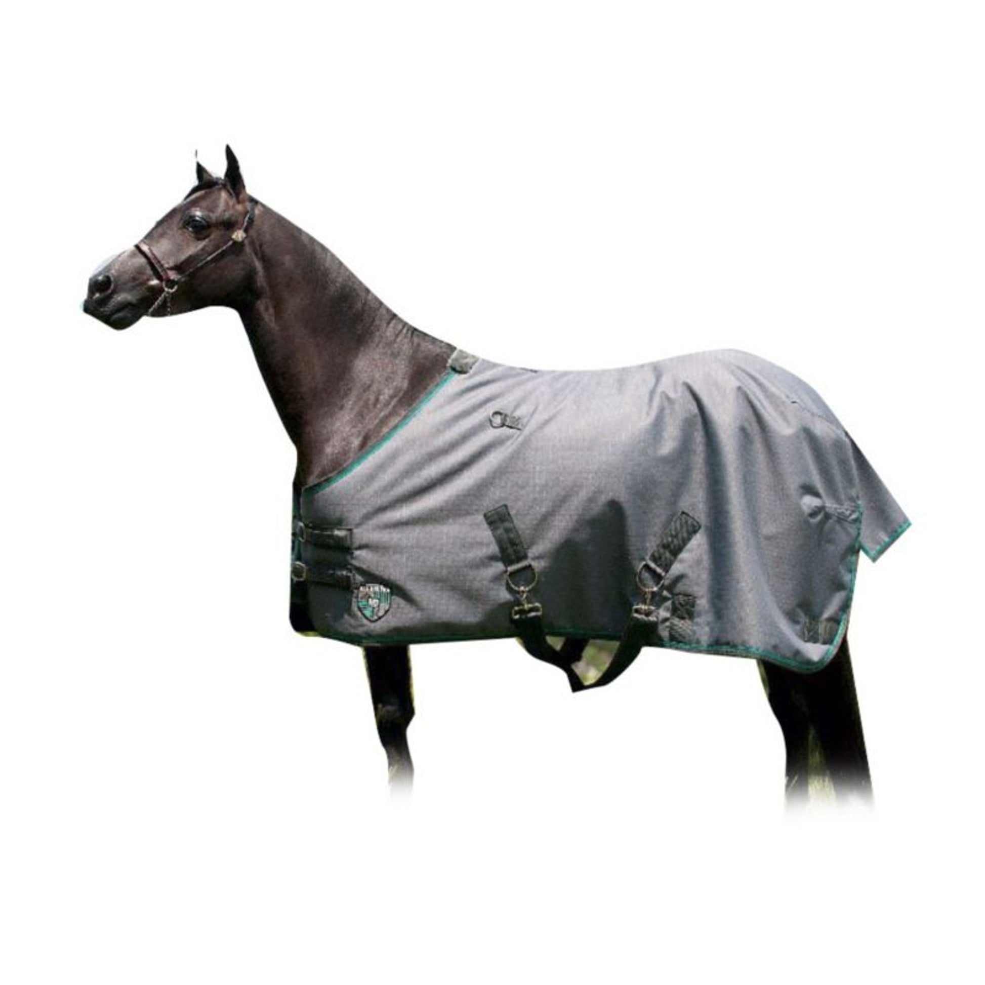 Kensington All Around Pony 80G Turnout