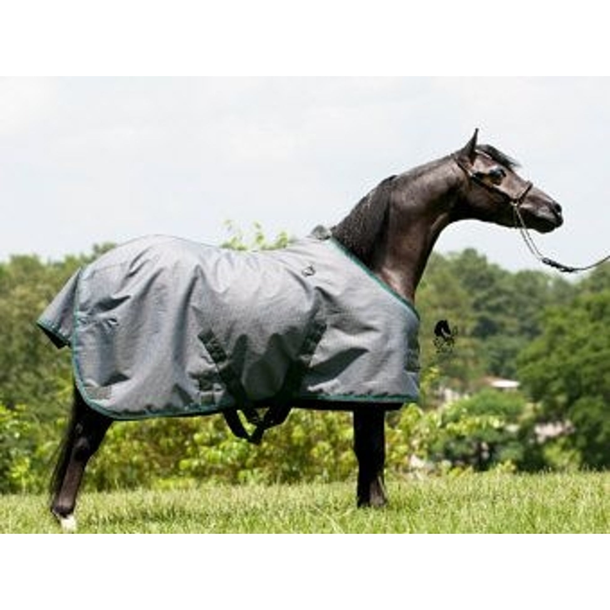 Kensington All Around Pony 80G Turnout