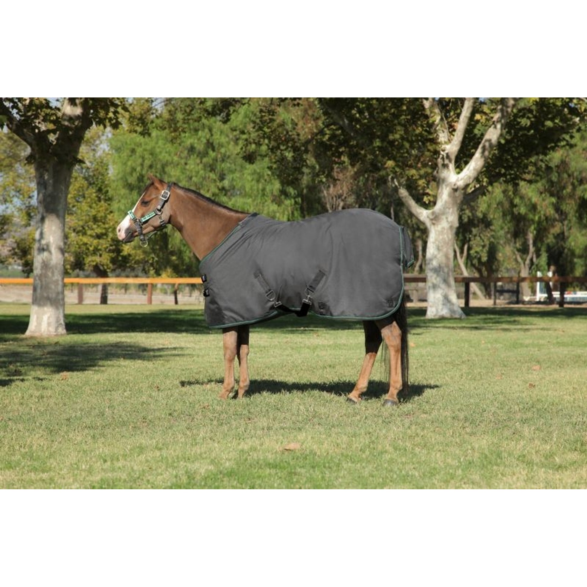 Kensington All Around Pony 80G Turnout