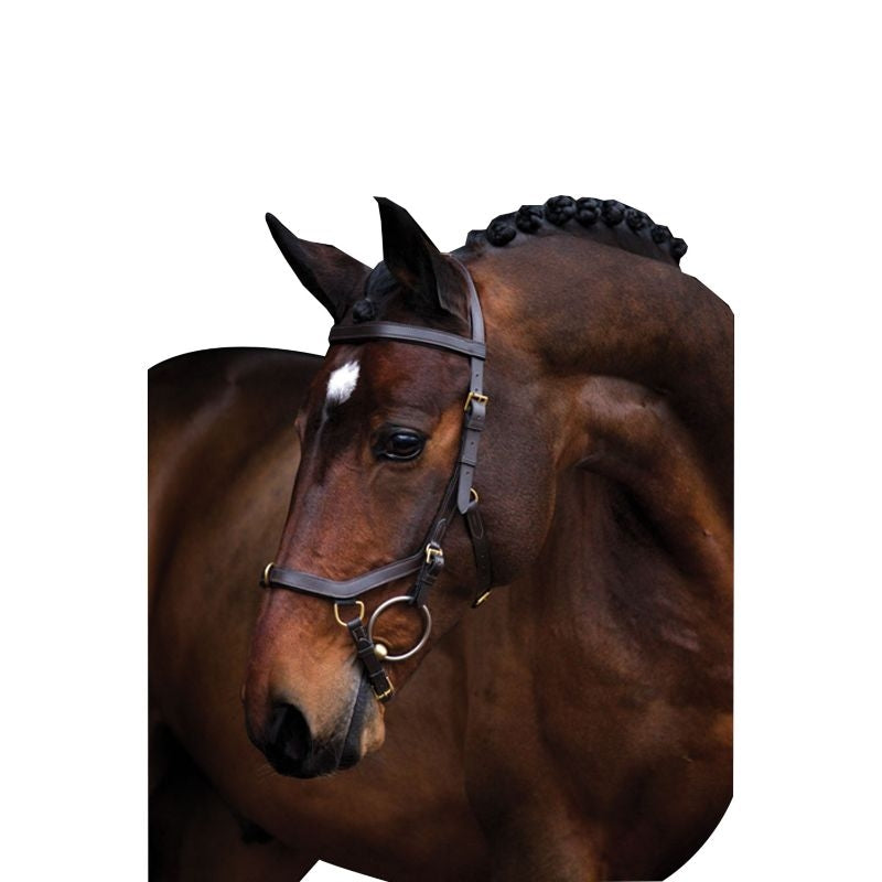 Rambo Micklem Multibridle