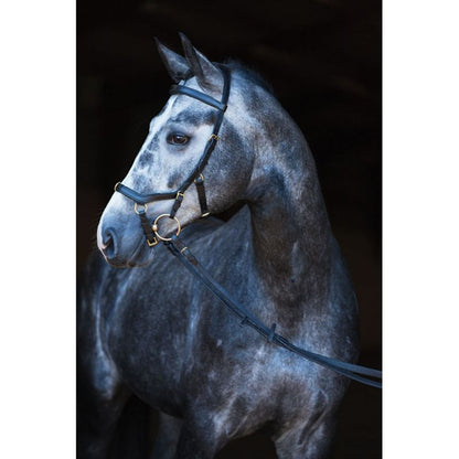 Rambo Micklem Multibridle