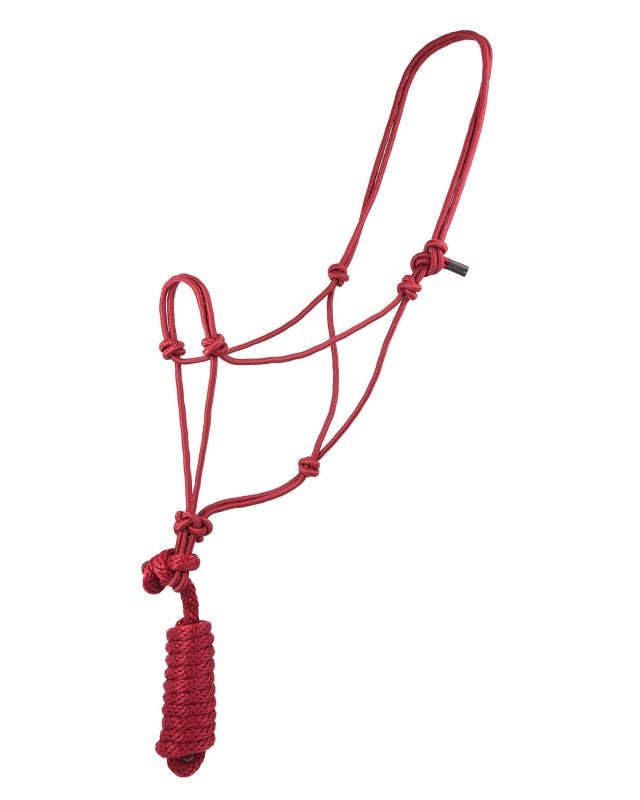 Basic Poly Rope Halter with Lead