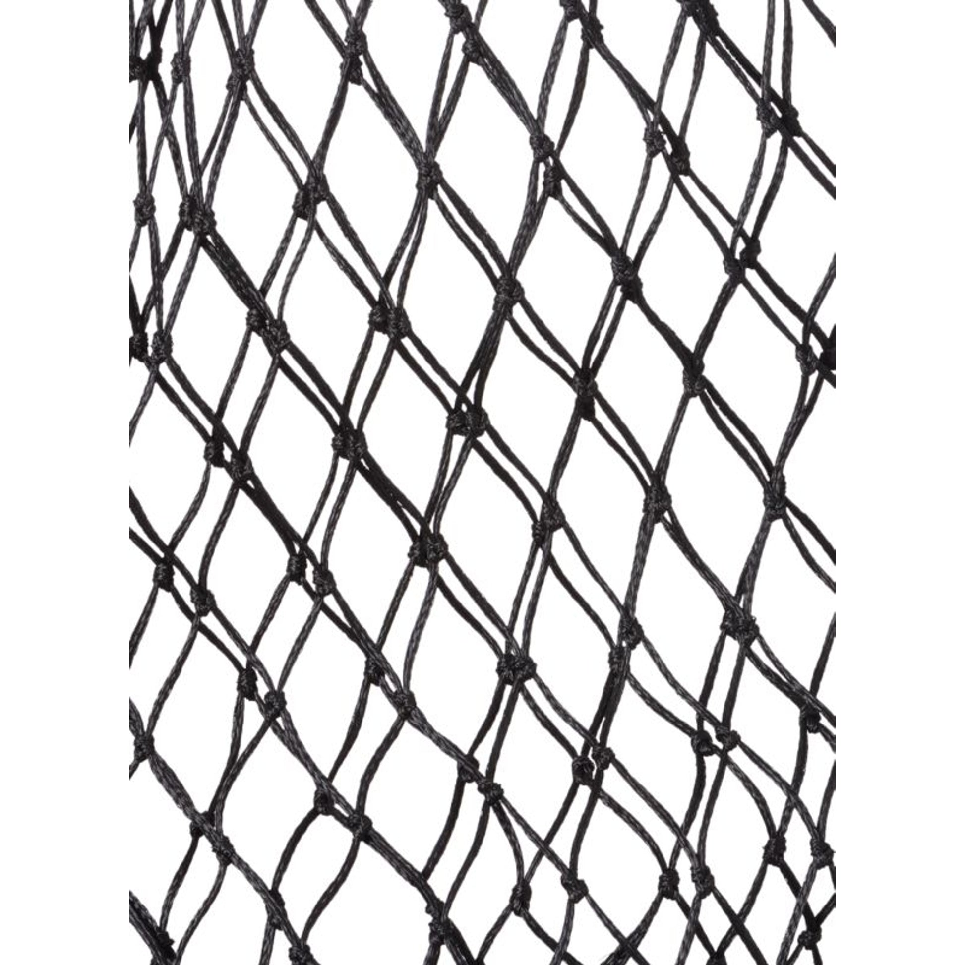 TE015626_474834_01.jpg