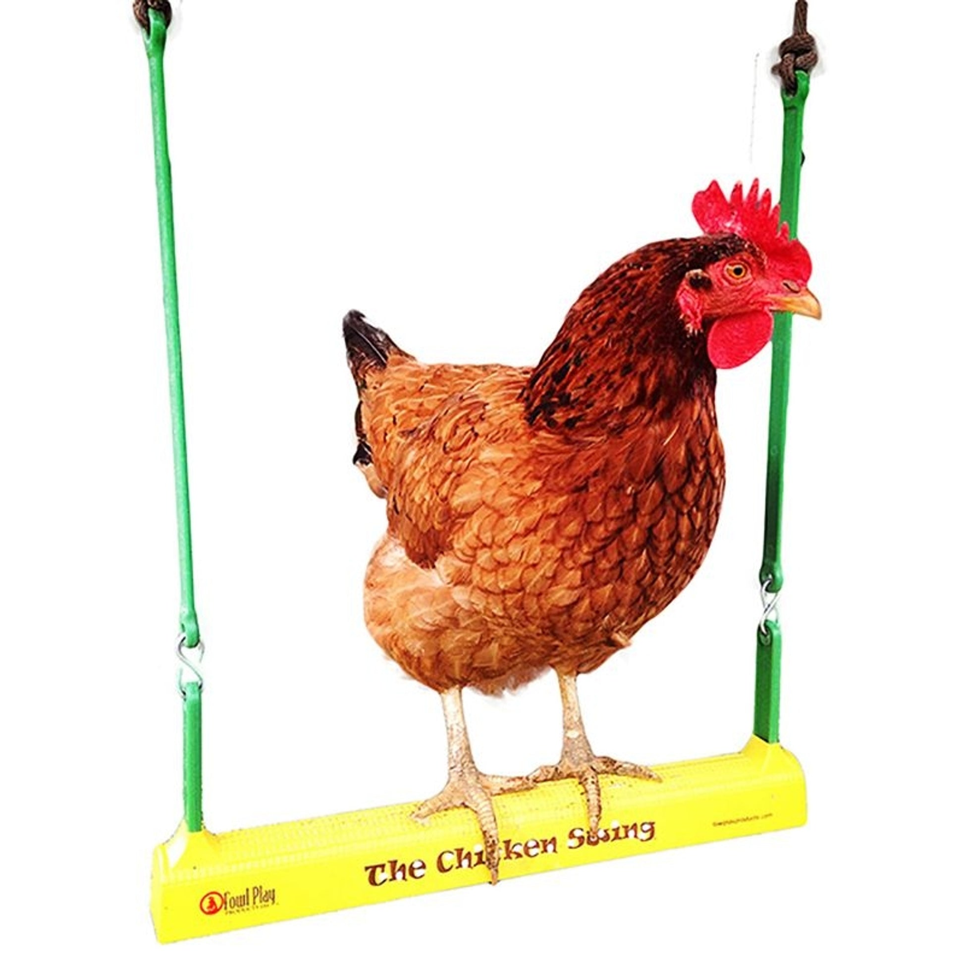 The Chicken Swing