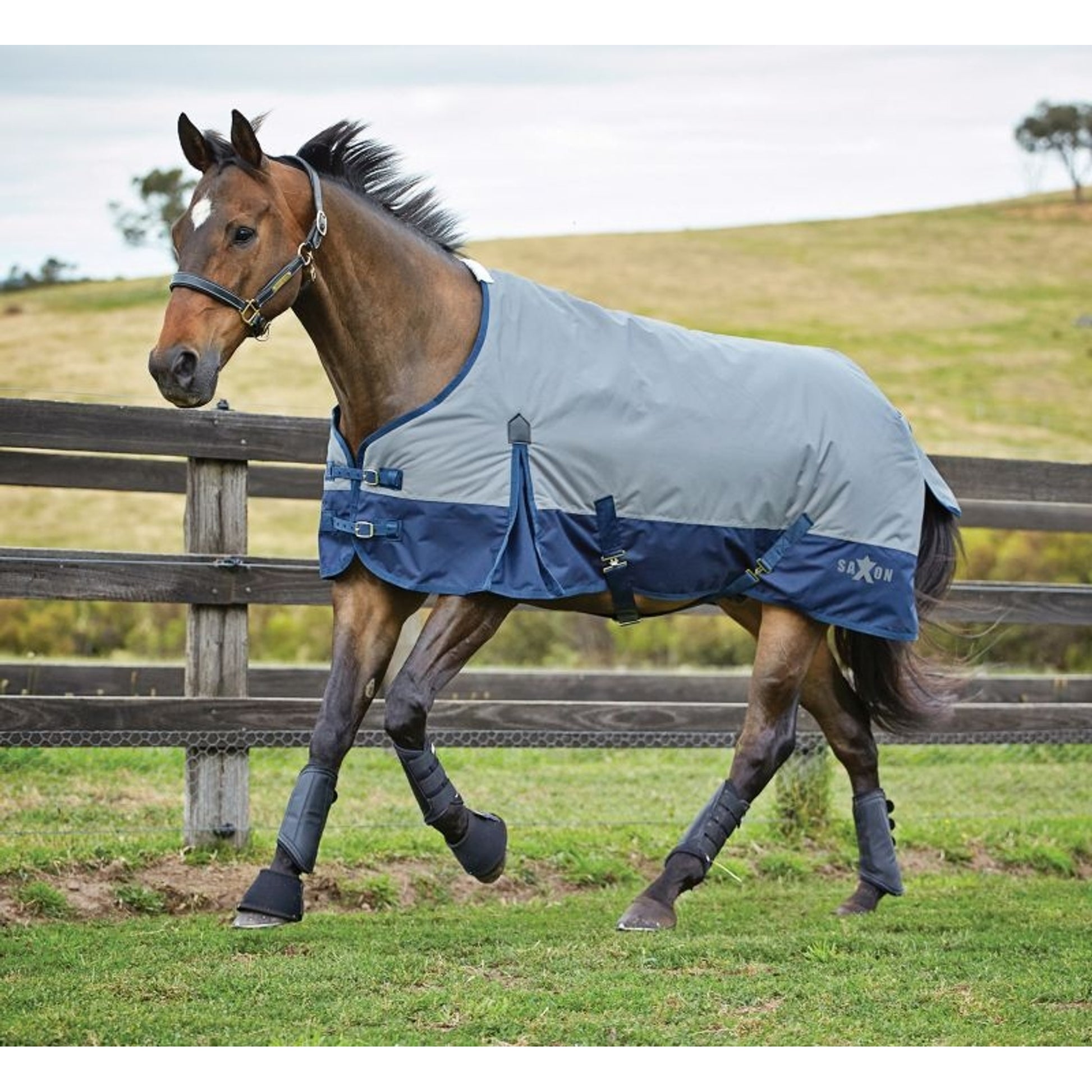 Saxon 600D Standard Medium Blanket