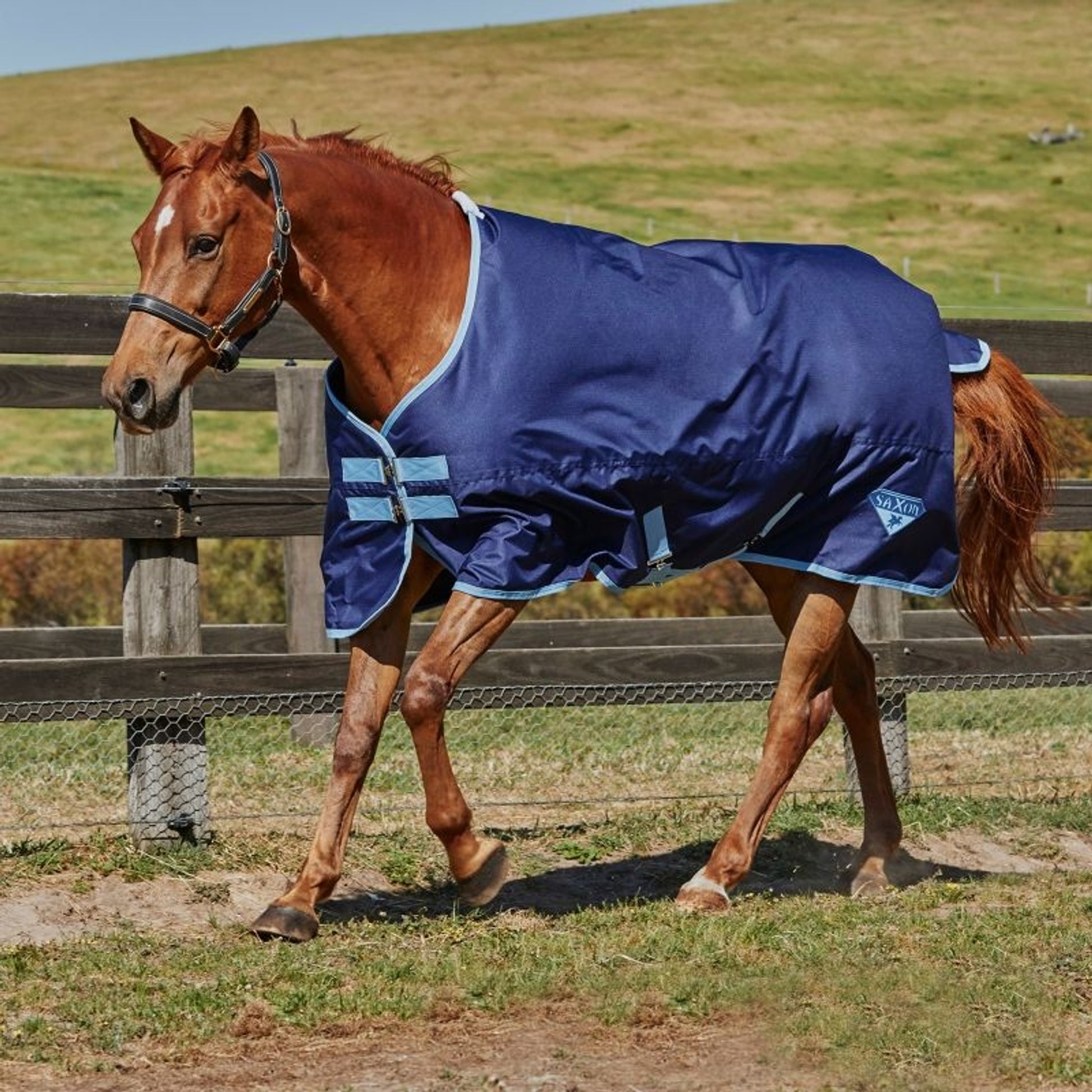 Saxon 600D Standard Lite Sheet