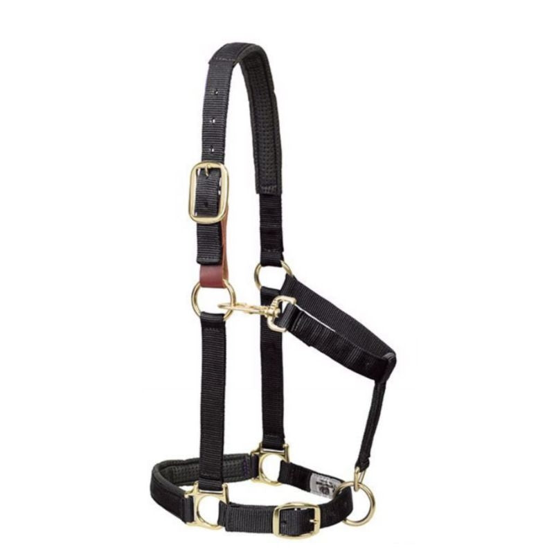 Adjustable Horse Halter With Snap Weaver Breakaway Horse Halter With Comfort Foam Padding - Adjustable Average Size, Purple Vs Regular Adjustable Horse Halter With Snap Weaver Breakaway Horse Halter With Comfort Foam Padding - Adjustable Average Size, Purple Vs Regular