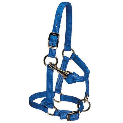Weaver Mini Adj Nylon Halter Brass