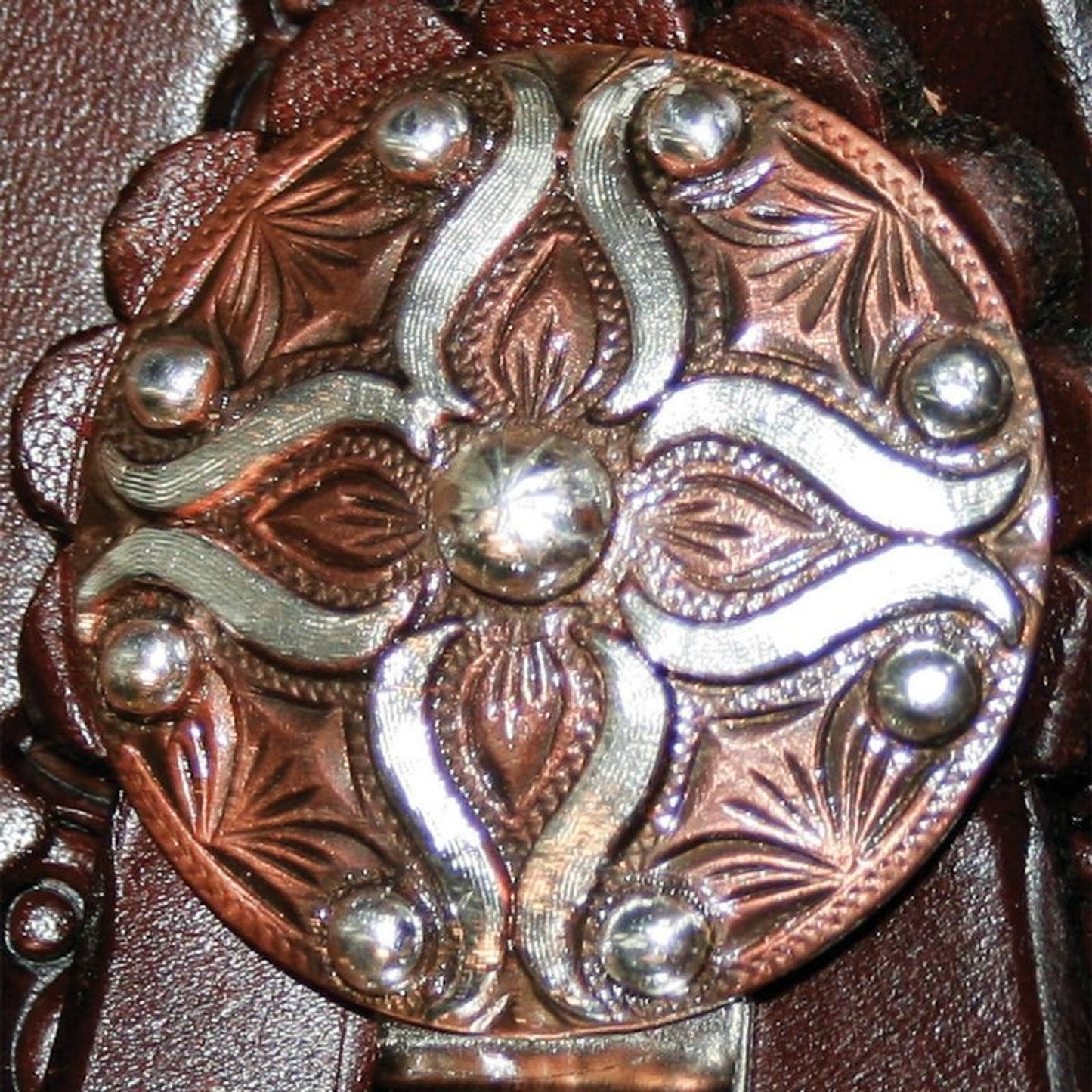 TE018155_01.jpg