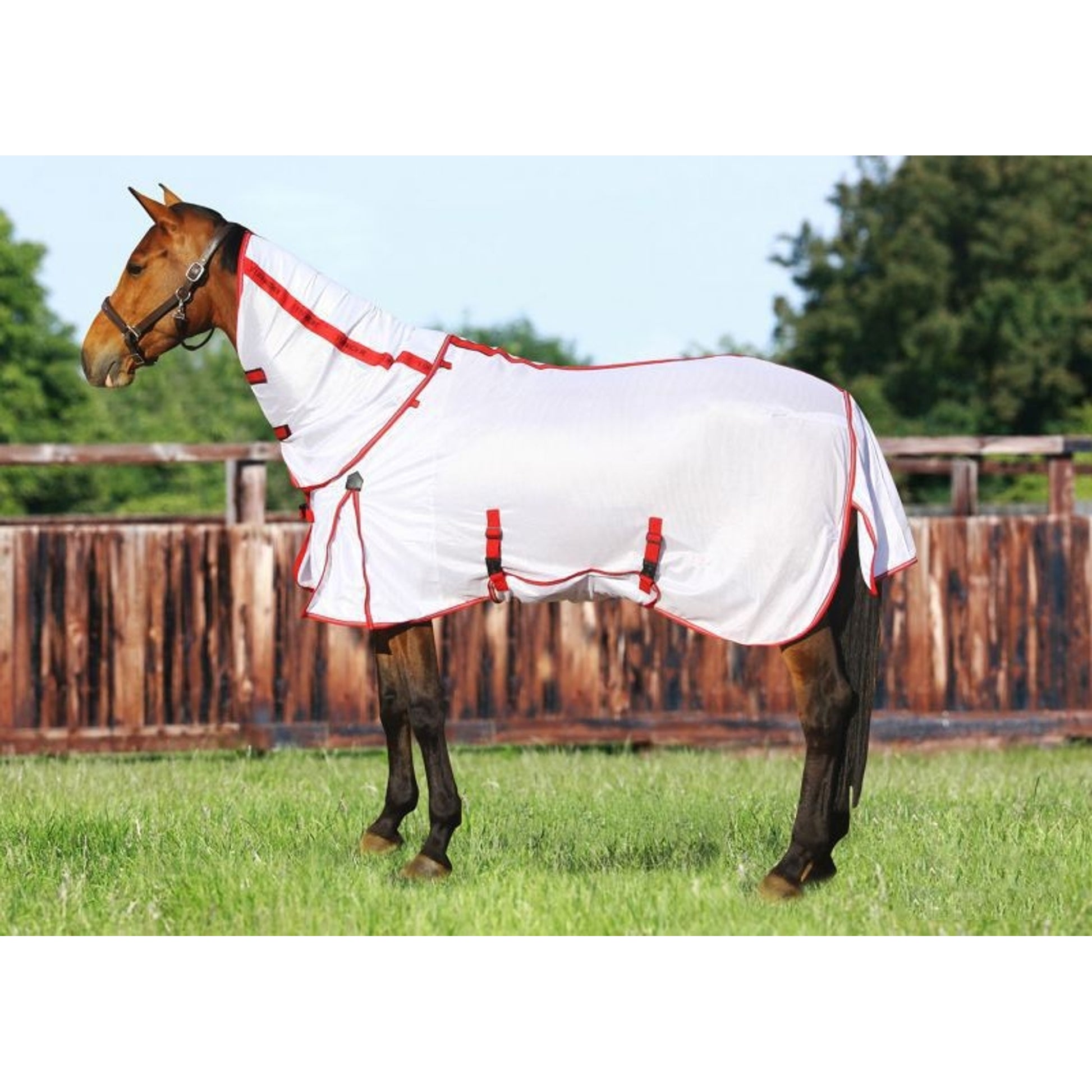 TuffRider Power Mesh Detachable Neck Fly Sheet