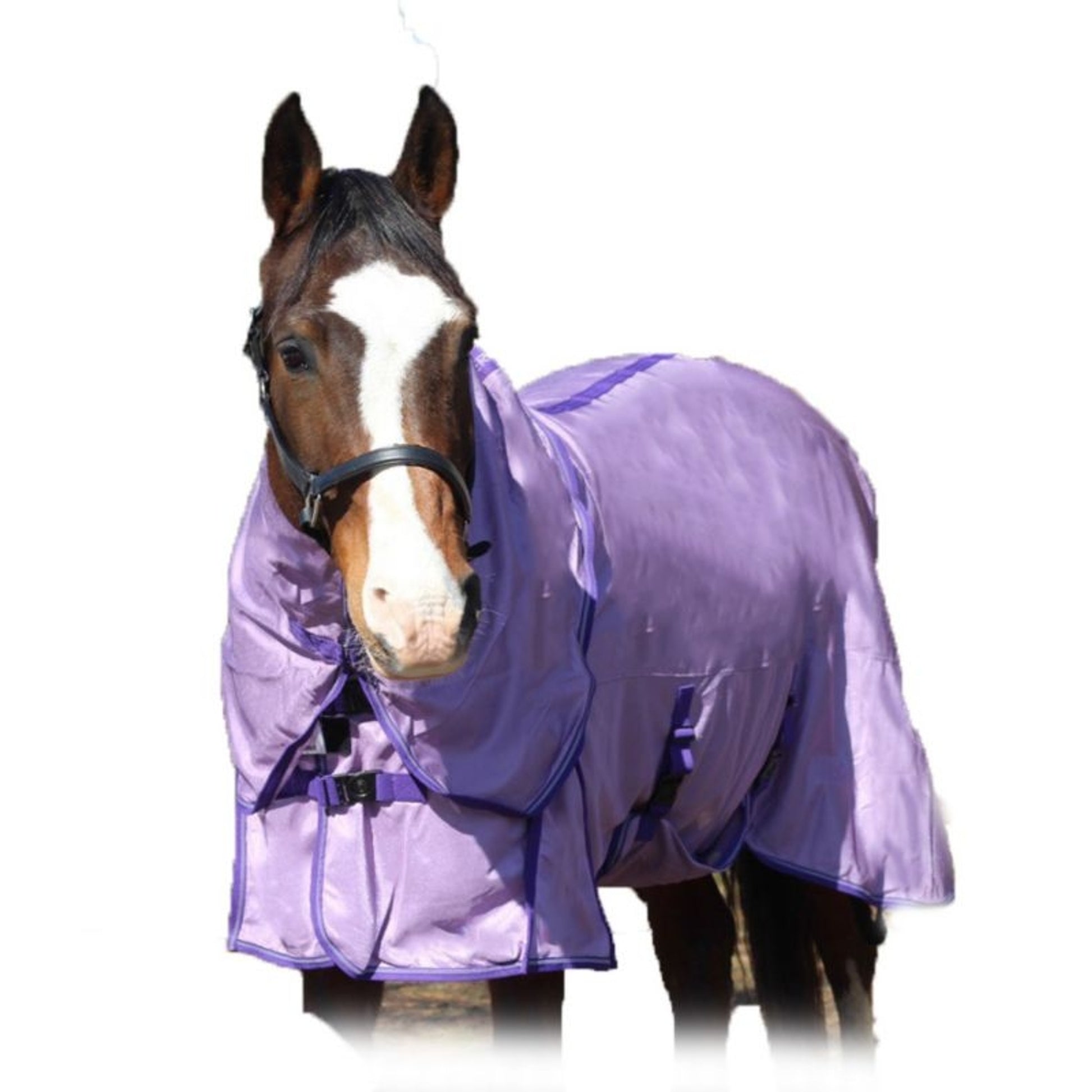 TuffRider Power Mesh Detachable Neck Fly Sheet