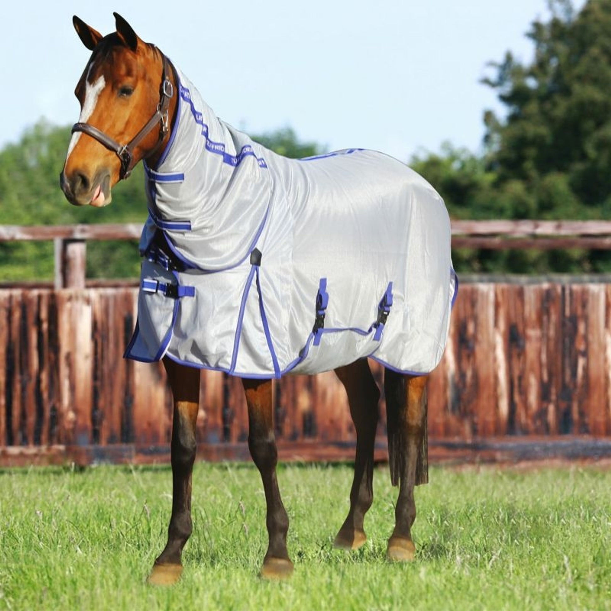 TuffRider FLYBY Power Mesh Fly Sheet