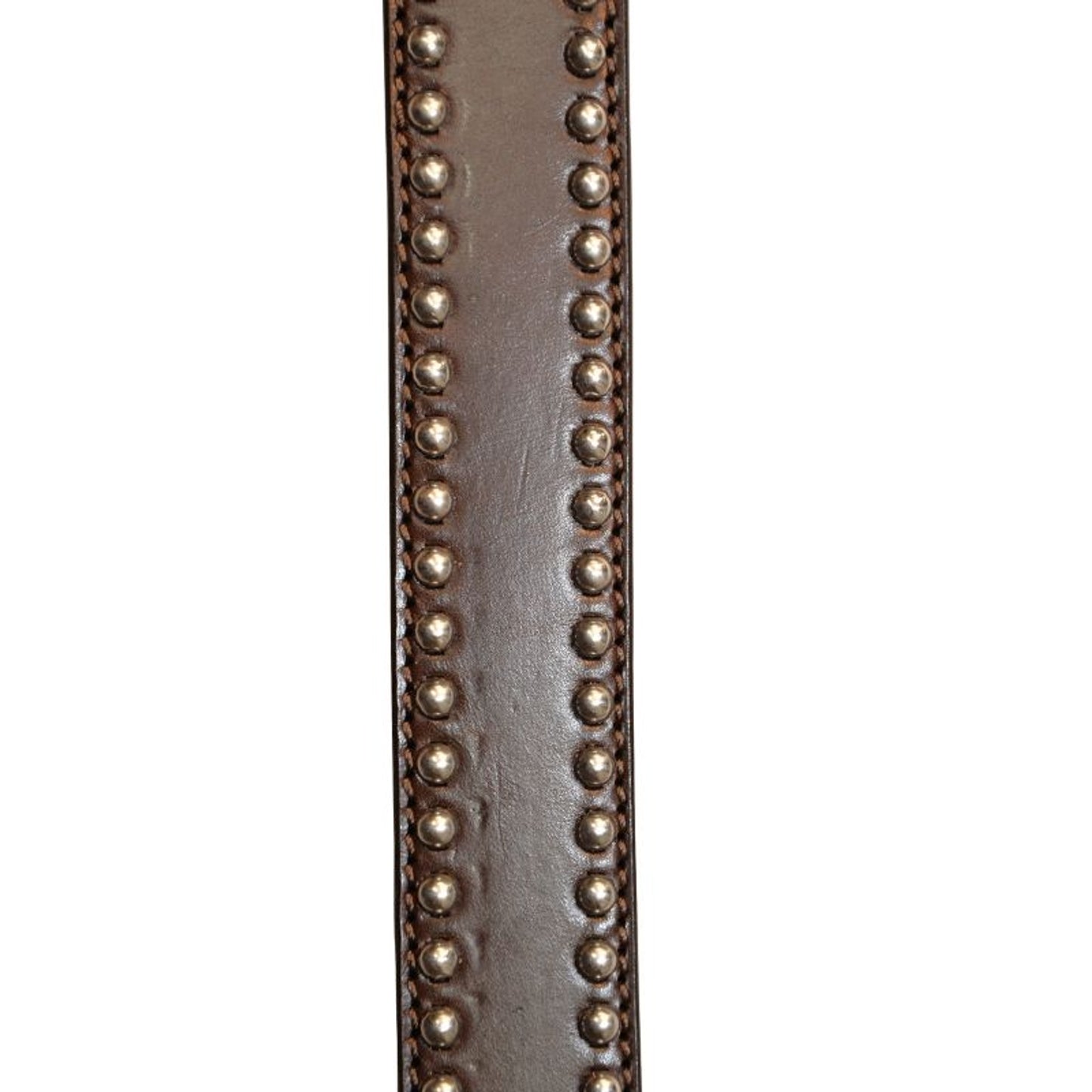 TE018801_02.jpg