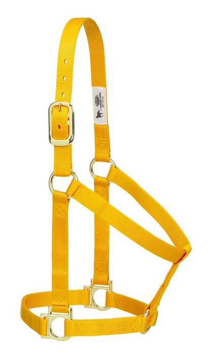 Weaver Basic Nylon Halter