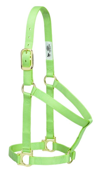 Weaver Basic Nylon Halter