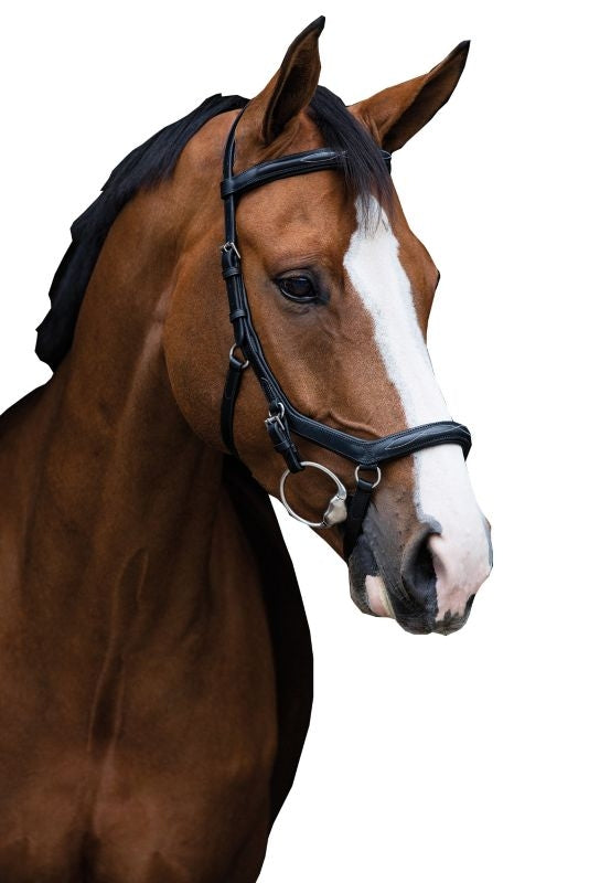 Micklem Deluxe Competition Bridle