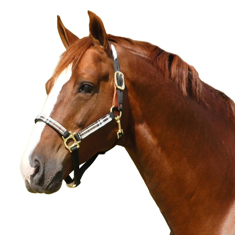 Kensington Breakaway Halter