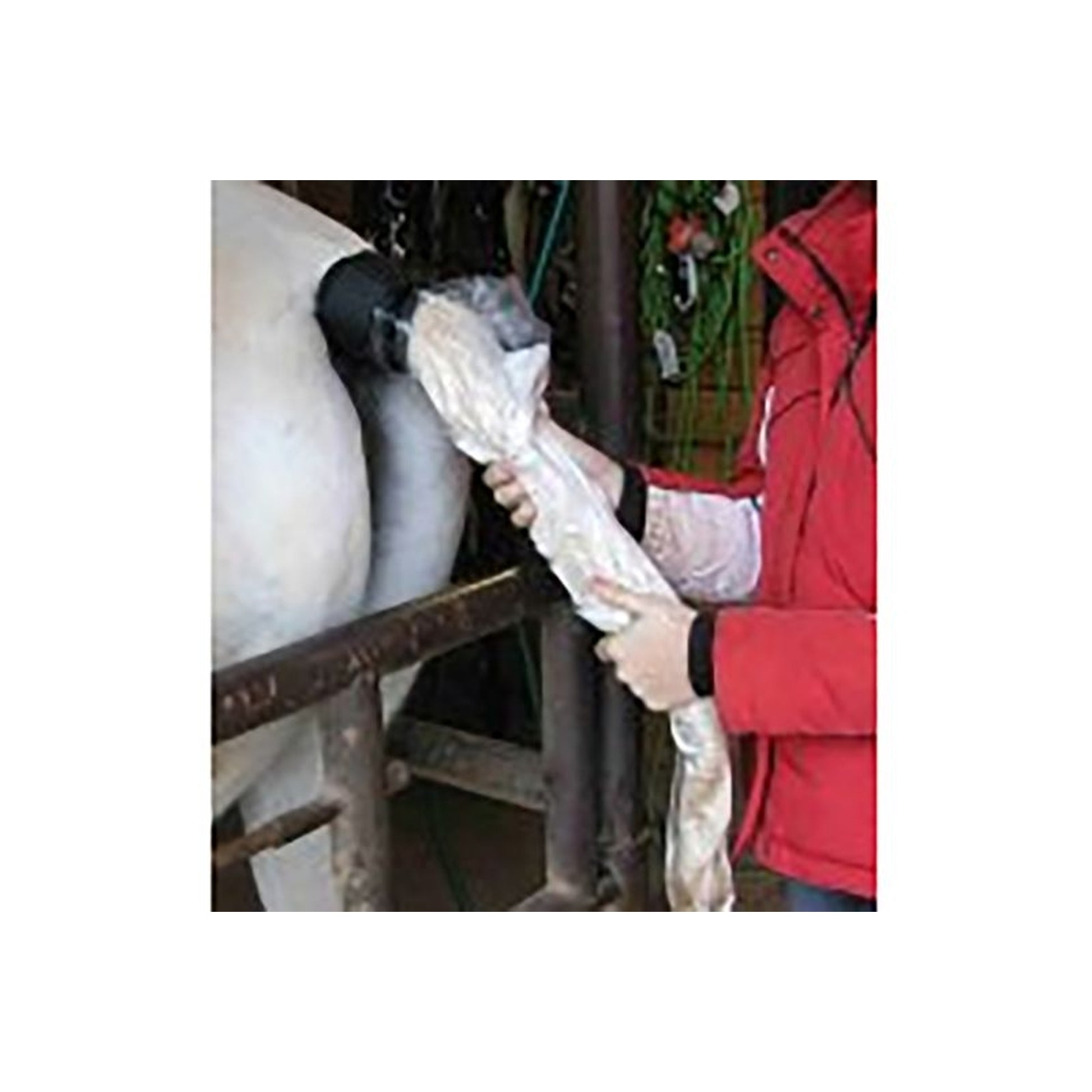 Horse Spa Tail Bucket Starter Kit