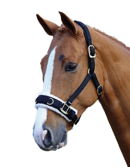 Shires Fleece Lined Lunge Cavesson