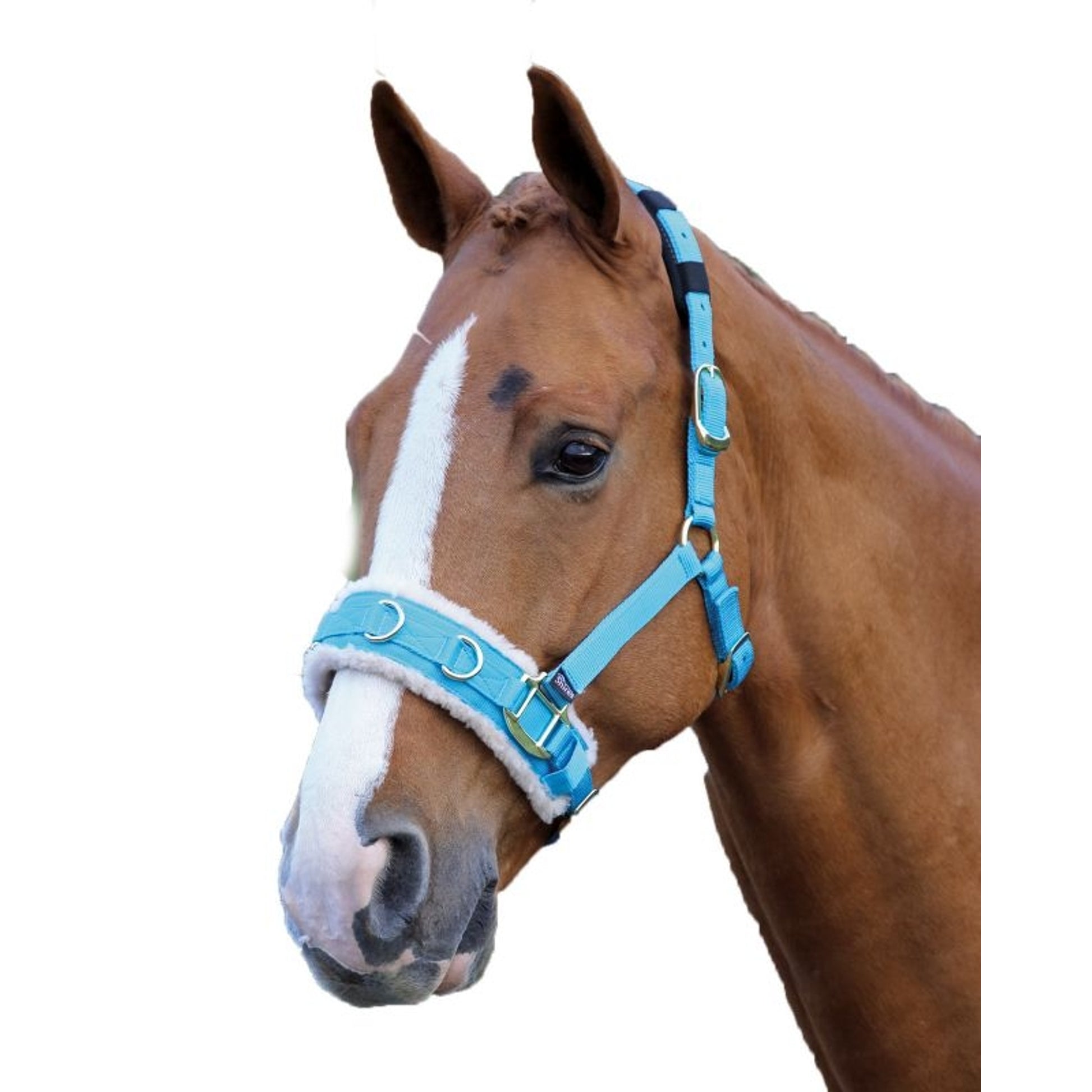 Shires Fleece Lined Lunge Cavesson
