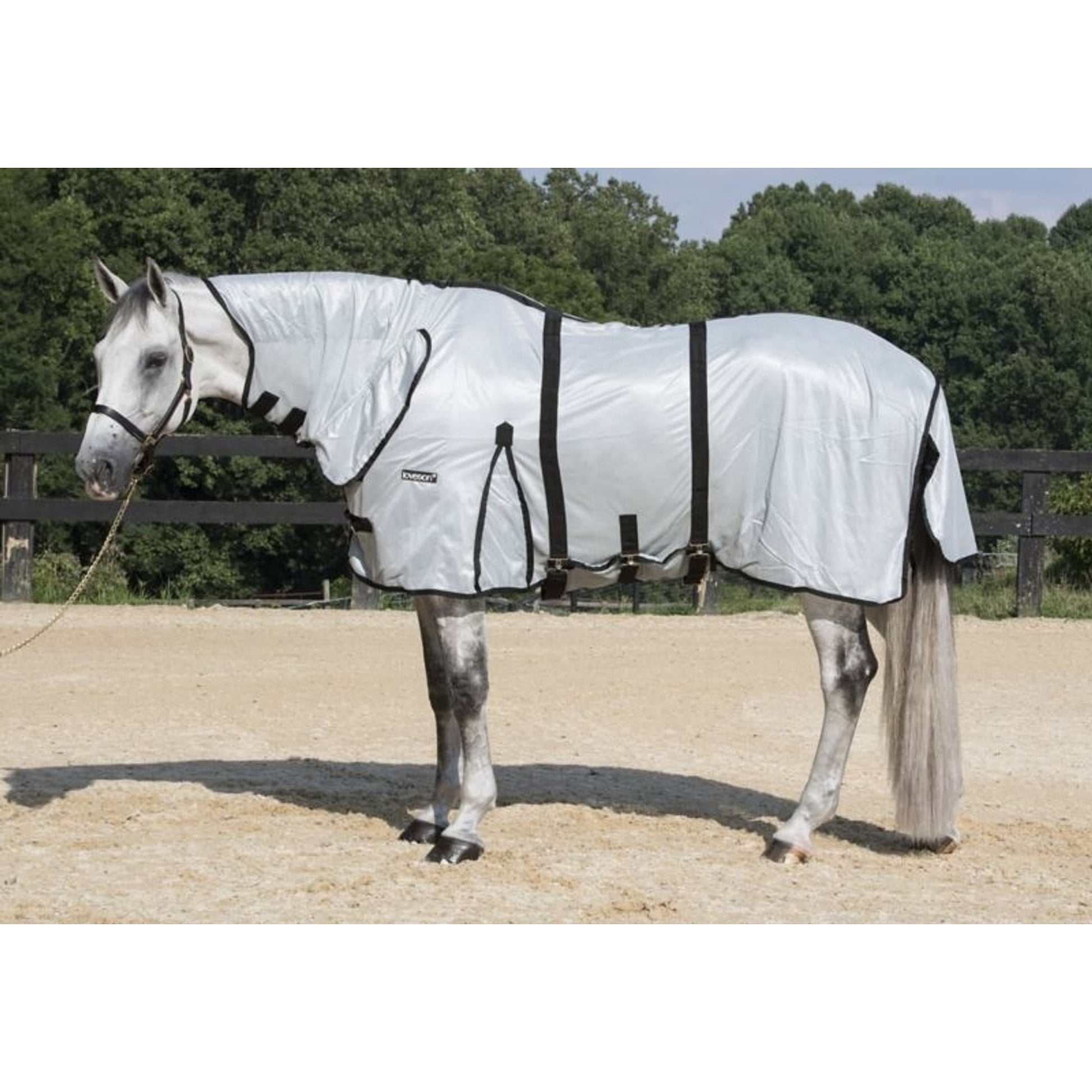 Loveson Fly Rug