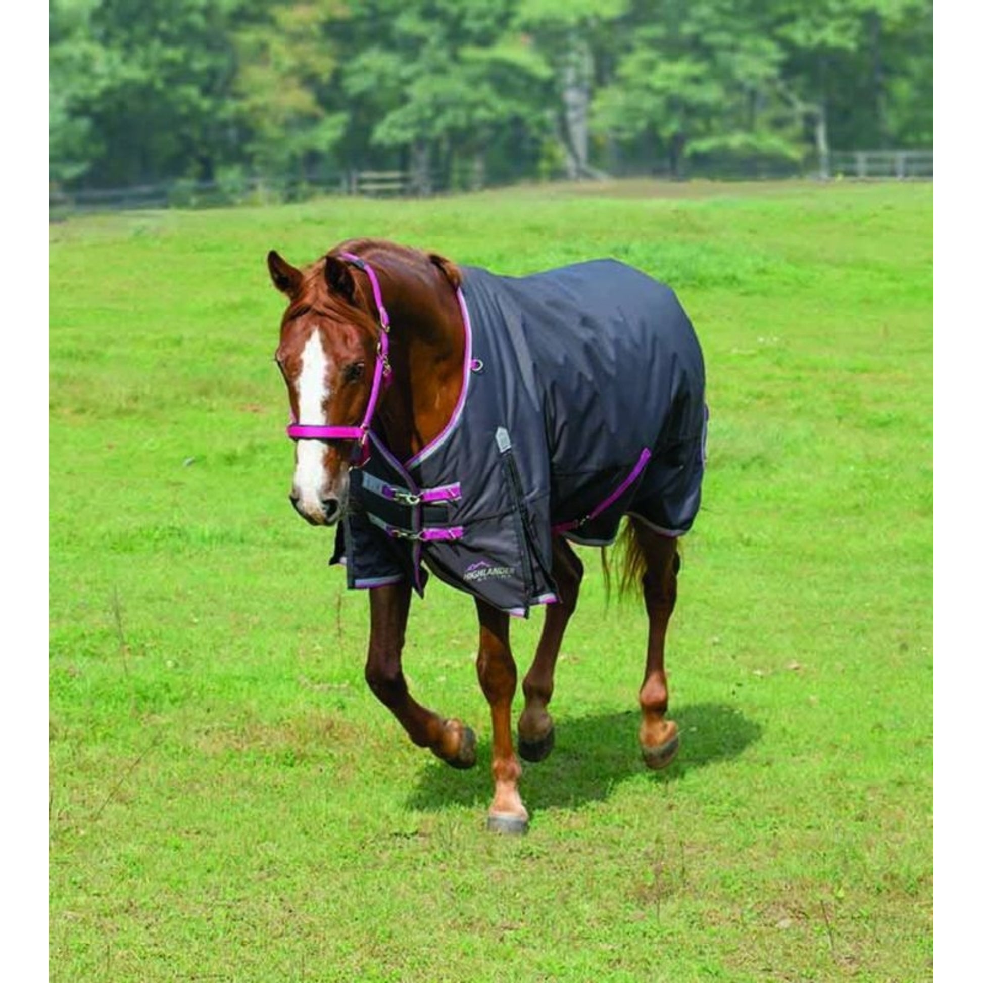 Shires Highlander Plus 300g Blanket