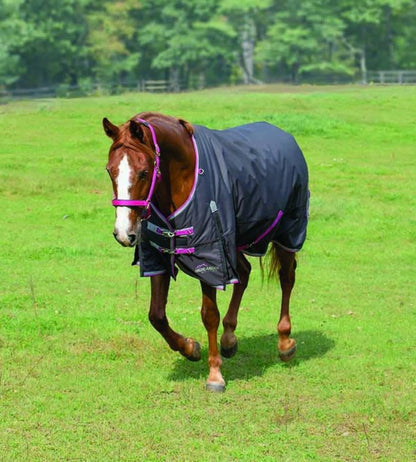 Shires Highlander Plus 300g Blanket
