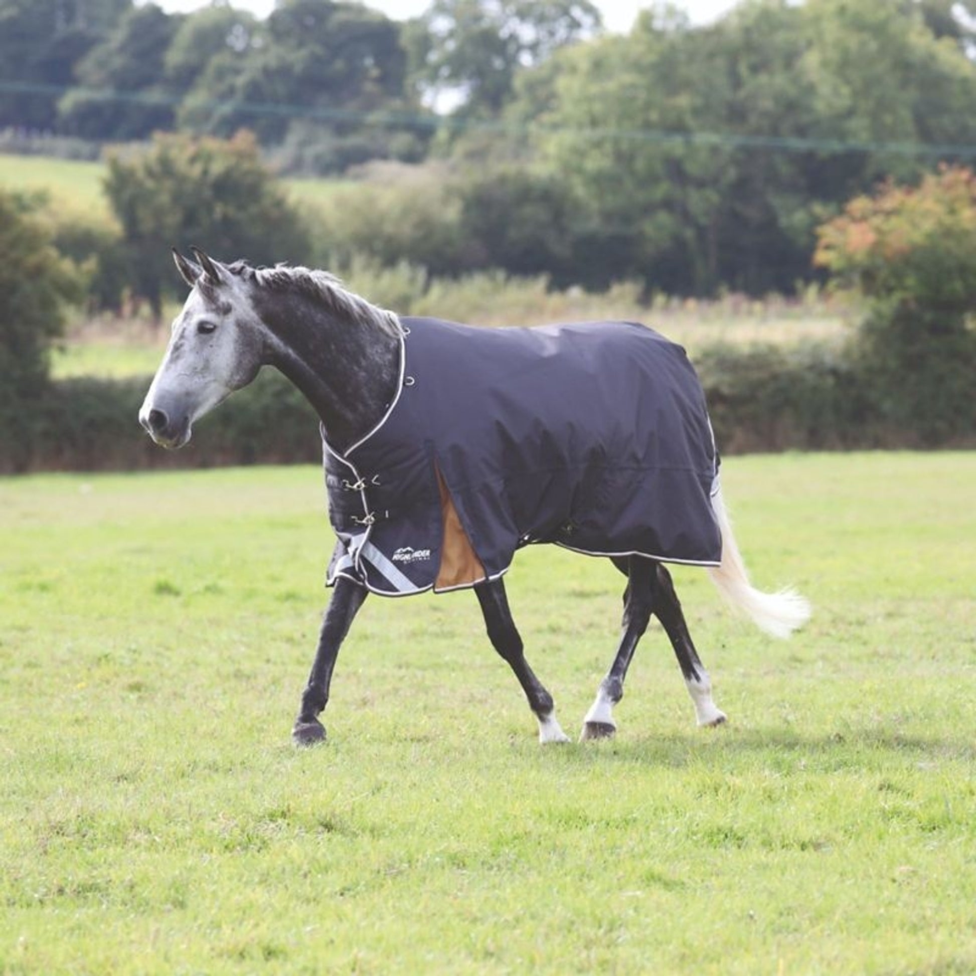 Shires Highlander Plus 300g Blanket