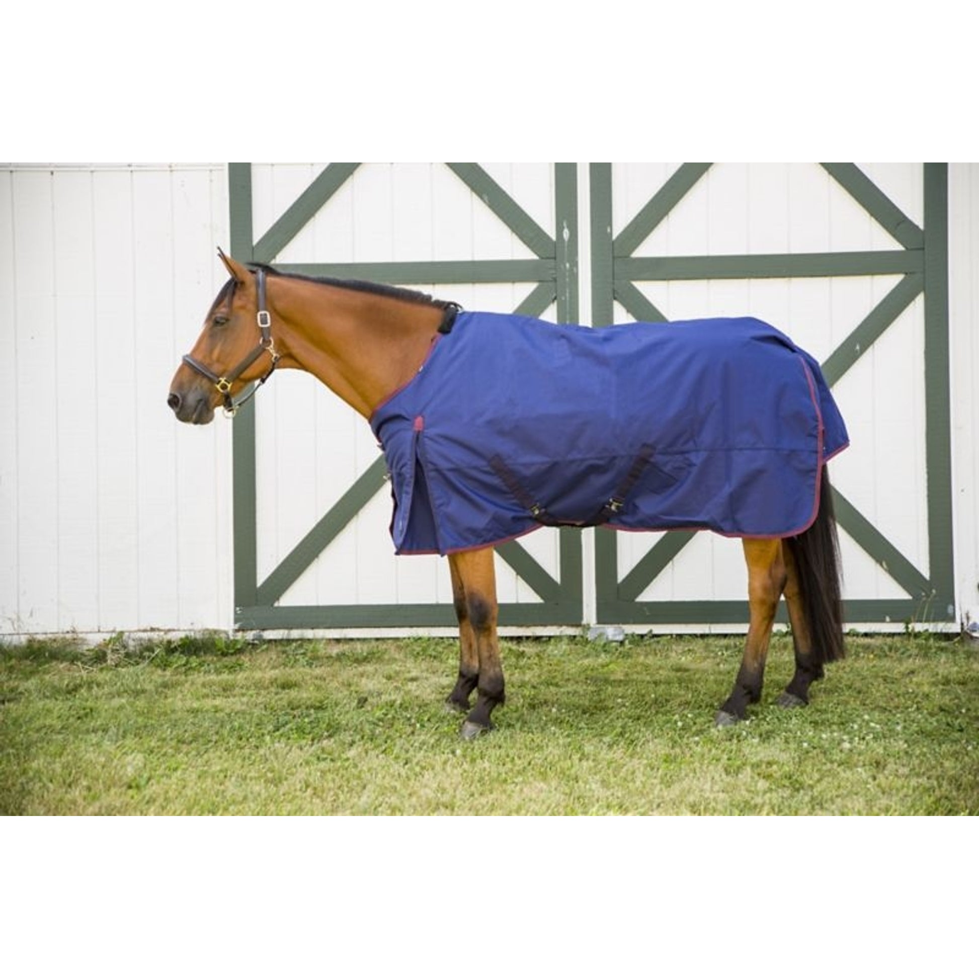 Shires Highlander Plus 300g Blanket