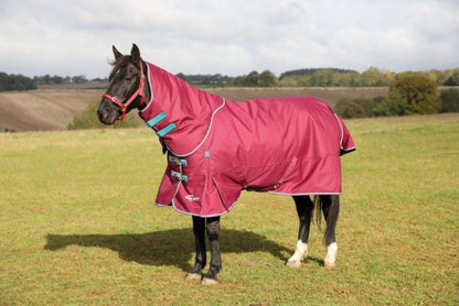 Shires Highlander Plus 300g Blanket