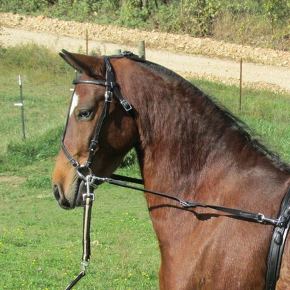Ozark Leather Bitting