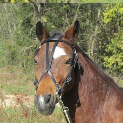 Ozark Leather Bitting