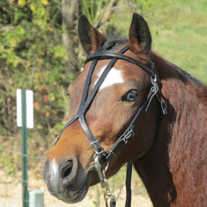 Ozark Leather Bitting
