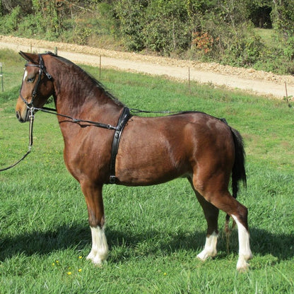Ozark Leather Bitting