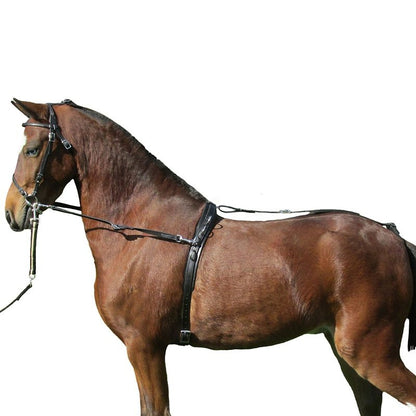 Ozark Leather Bitting