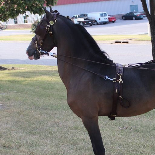 Ozark Kildow Driving Headstall With Blinders