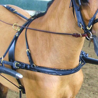 TE023676_P.jpg