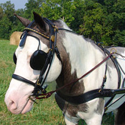 Ozark V Carriage Harness