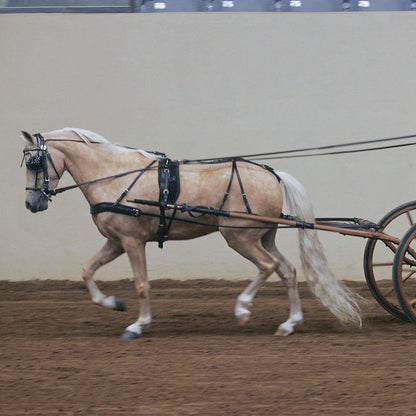 Ozark V Carriage Harness
