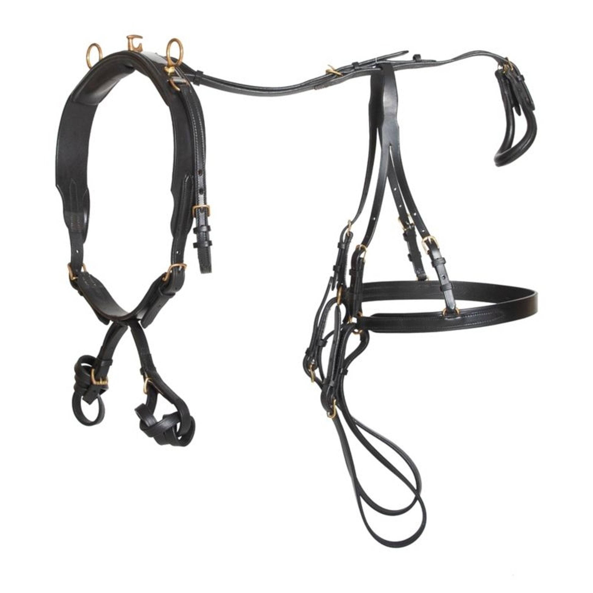 Ozark V Carriage Harness