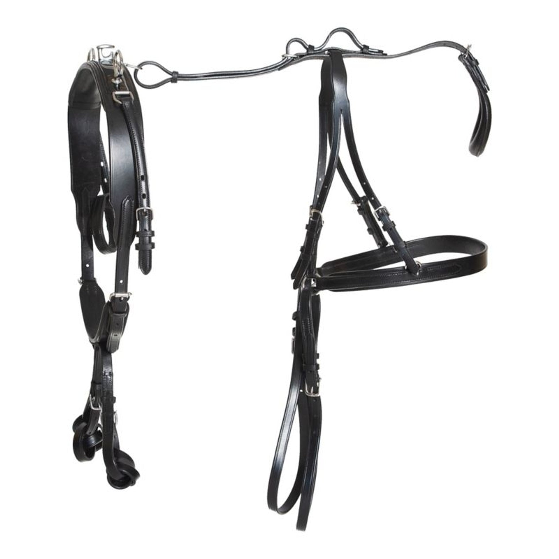 Ozark V Carriage Harness