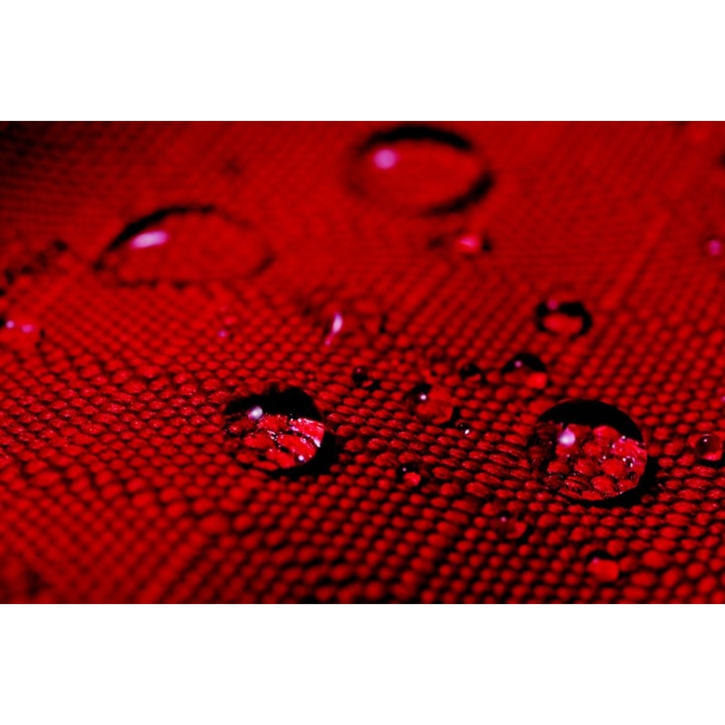 TE023754_RED_03.jpg